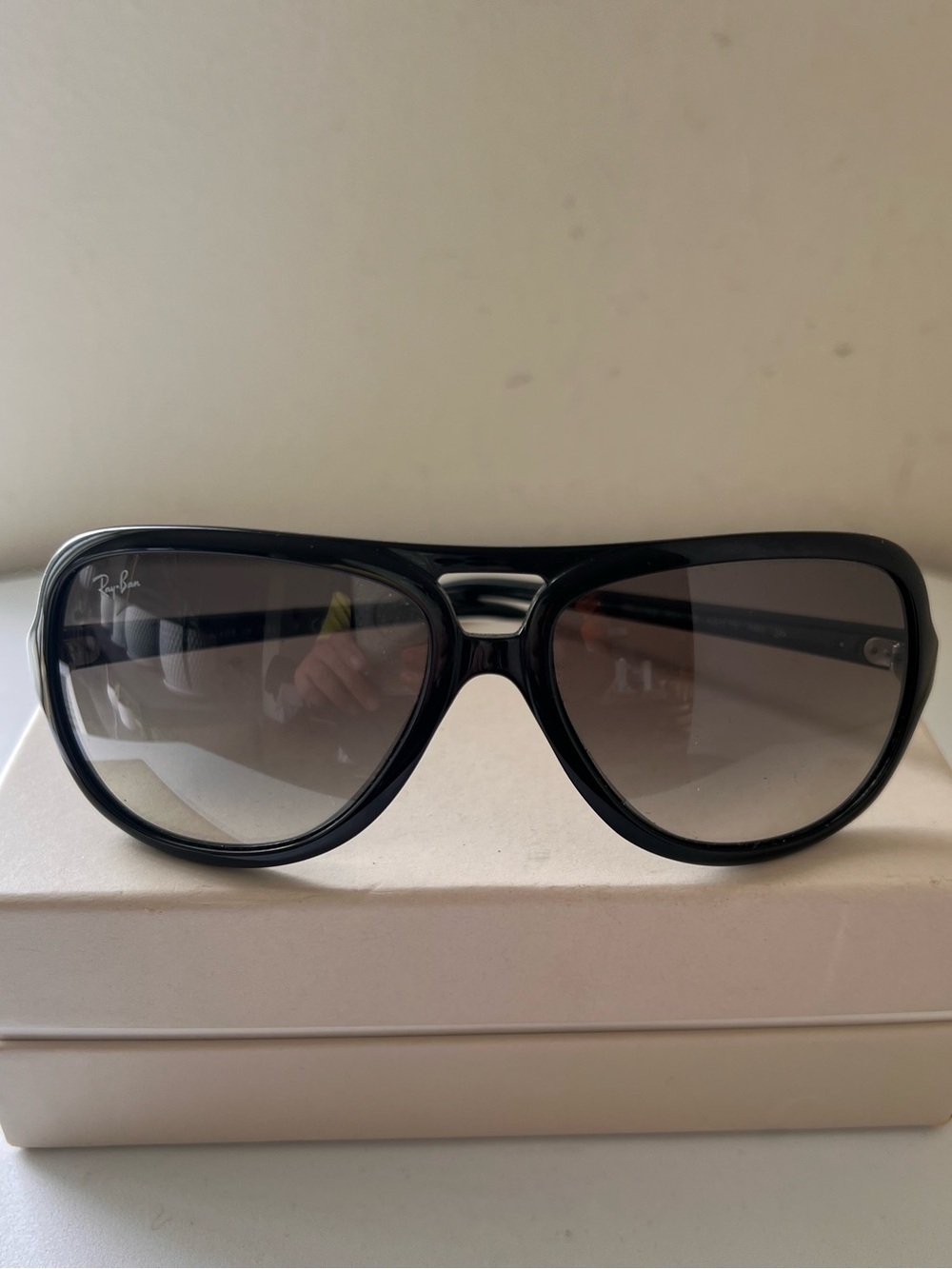 Ray-Ban Black Temple Arm with Logo and CE Marking
